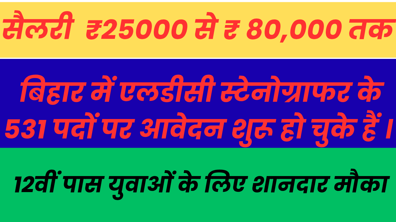 LDC Stenographer Vacancy 2025